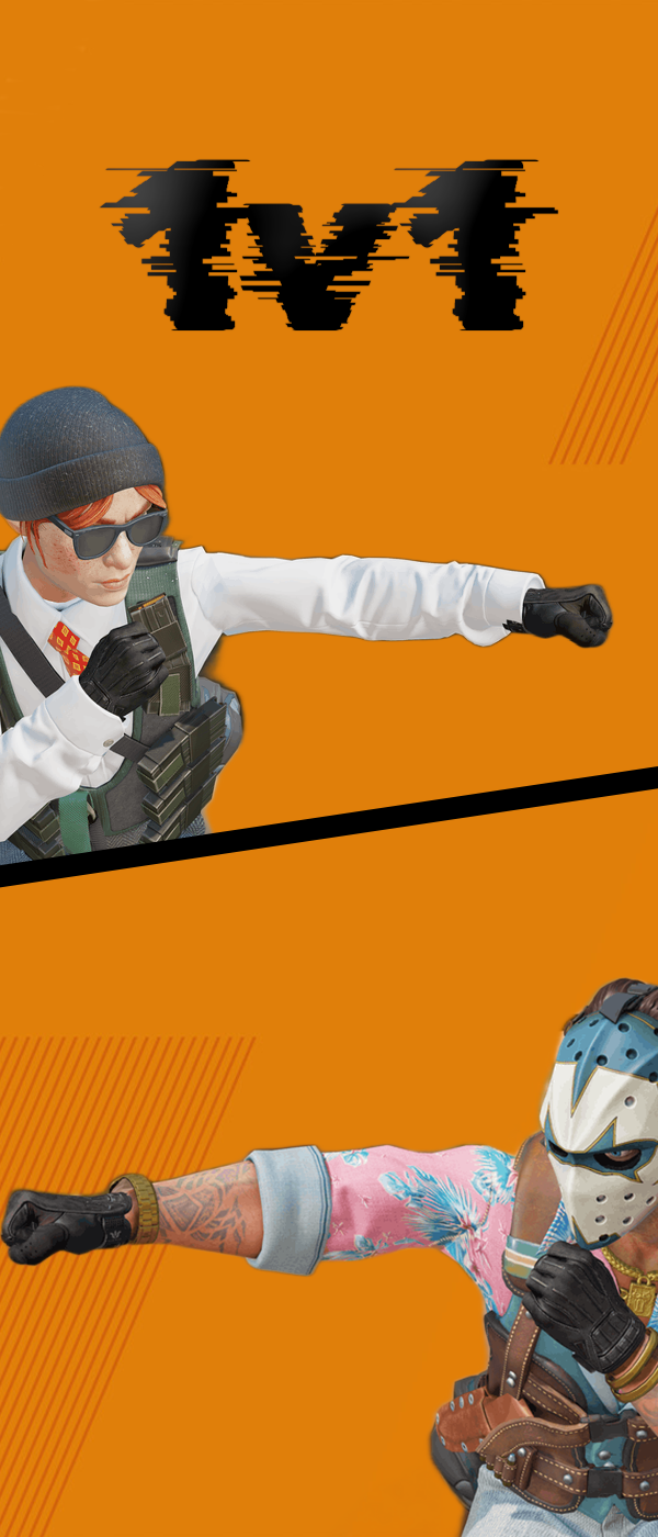 1v1